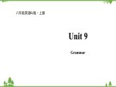 人教新目标英语八年级上册Unit 9 Can you come to my party  Grammar课件