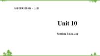 人教新目标 (Go for it) 版八年级上册Unit 10 If you go to the party you’ll have a great time!Section B示范课课件ppt