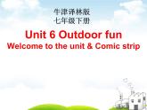 译林版英语七年级下册 Unit 6 Outdoor fun_ (2) 课件