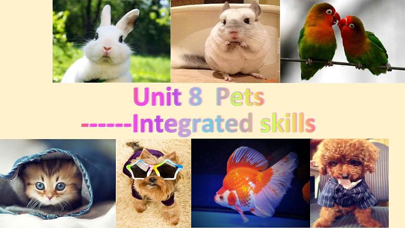 译林版英语七年级下册 Unit 8 Pets GrammerIntegrated skills(1) 课件01