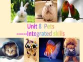 译林版英语七年级下册 Unit 8 Pets GrammerIntegrated skills(1) 课件