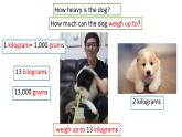 譯林版英語(yǔ)七年級(jí)下冊(cè) Unit 8 Pets GrammerIntegrated skills(1) 課件