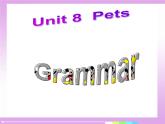 译林版英语七年级下册 Unit 8 Pets Grammer 课件