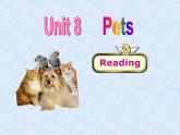 译林版英语七年级下册 Unit 8 Pets Grammer Pets Pets 课件