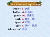 译林版英语七年级下册 Unit 8 Pets Grammer Pets Pets 课件
