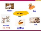 译林版英语七年级下册 Unit 8 Pets GrammerPets 课件