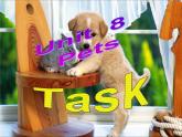 譯林版英語(yǔ)七年級(jí)下冊(cè) Unit 8 Pets_(3) 課件