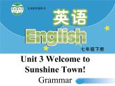 译林版英语七年级下册 Unit3 Welcome to Sunshine Town! Grammar 课件
