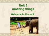 译林版英语七年级下册 Unit 5 Amazing things_ 课件