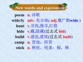 譯林版英語(yǔ)七年級(jí)下冊(cè) Unit 8 Pets GrammerPets(1) 課件
