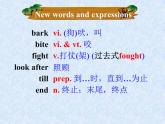 譯林版英語(yǔ)七年級(jí)下冊(cè) Unit 8 Pets GrammerPets(2) 課件