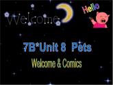 译林版英语七年级下册 Unit 8 Pets GrammerWelcome to the unit 课件