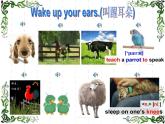 译林版英语七年级下册 Unit 8 Pets GrammerWelcome to the unit 课件