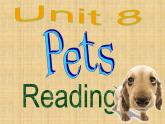 译林版英语七年级下册 Unit 8 Pets_ 课件