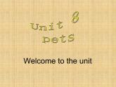 译林版英语七年级下册 Unit 8 Pets_(1) 课件