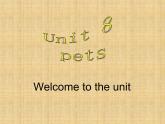 譯林版英語(yǔ)七年級(jí)下冊(cè) Unit 8 Pets_(1) 課件