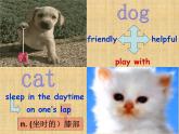 译林版英语七年级下册 Unit 8 Pets_(1) 课件