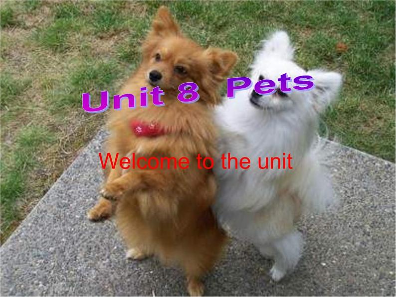 译林版英语七年级下册 Unit 8 welcome to the unit 课件01