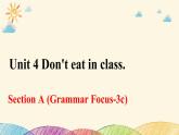 人教版英语七年级下册 Unit 4 Section A (Grammar Focus~3c)课件