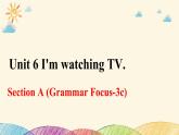 人教版英语七年级下册 Unit 6 Section A (Grammar Focus~3c)课件