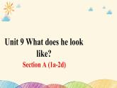 人教版英语七年级下册 Unit 9 Section A (1a~2d)课件