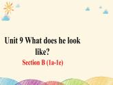 人教版英语七年级下册 Unit 9 Section B (1a~1e)课件