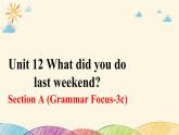 人教版英语七年级下册 Unit 12 Section A (Grammar Focus~3c)课件