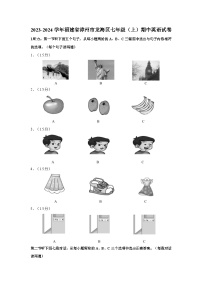 福建省漳州市龙海区2023-2024学年七年级（上学期）期中英语试卷