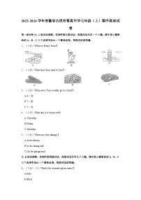 安徽省合肥市育英中学2023-2024学年七年级上学期英语期中试卷