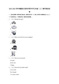 安徽省合肥市庐阳中学2023-2024学年七年级上学期期中英语试卷