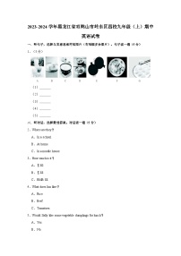 黑龙江省双鸭山市岭东区四校2023-2024学年九年级上学期期中英语试卷