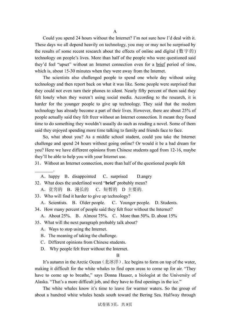 2023年湖南省郴州市永兴县树德中学九年级模拟考试英语试题03