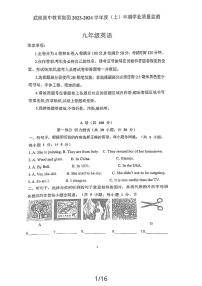 四川省成都武侯高级中学2023-2024学年九年级上学期期中英语试题