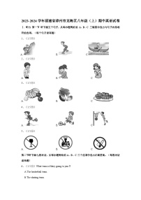 福建省漳州市龙海区2023-2024学年八年级上学期期中英语试卷