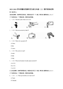 2023-2024学年安徽省芜湖市无为县九年级上学期期中英语试卷（含答案）