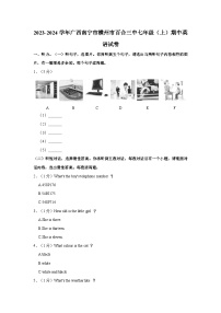 2023-2024学年广西南宁市横州市百合三中七年级上学期期中英语试卷（含答案）