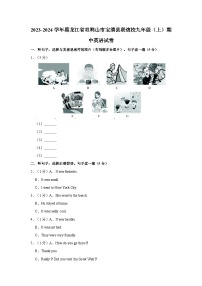 2023-2024学年黑龙江省双鸭山市宝清县联谊校九年级上学期期中英语试卷（含答案）