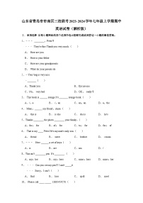 山东省青岛市市南区三校联考2023-2024学年七年级上学期期中英语试卷