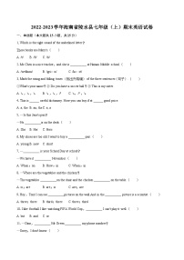 2022-2023学年海南省陵水县七年级（上）期末英语试卷（含详细答案解析）