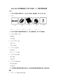 2023-2024学年海南省万宁市七年级上学期期中英语试卷（含答案）