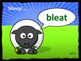 中小学英语 动物声音 sounds 游戏课件+素材