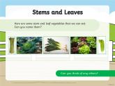 中小学英语 蔬果 游戏课件+素材
