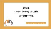 九年级全册Unit 8 It must belong to Carla.综合与测试复习课件ppt
