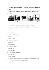 2023-2024学年海南省万宁市九年级上学期期中英语试卷（含答案）