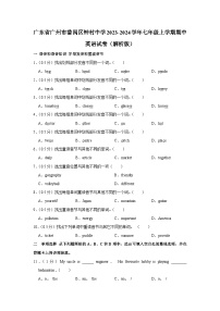 广东省广州市番禺区钟村中学2023-2024学年七年级上学期期中英语试卷