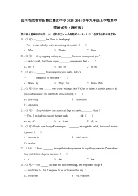 四川省成都市新都区繁江中学2023-2024学年九年级上学期期中英语试卷