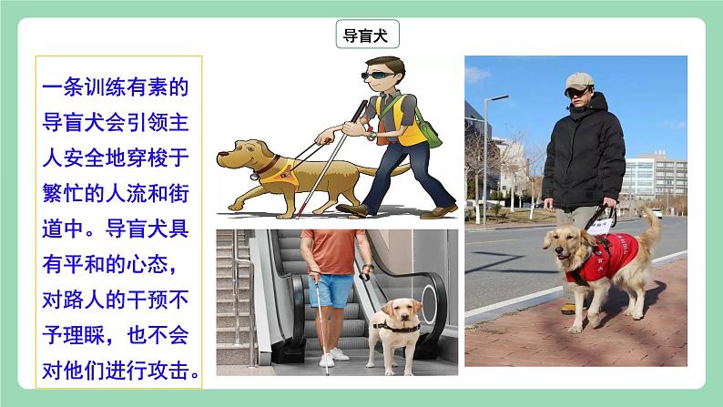 【公开课】人教新目标版八下Unit 2《 I'll help to clean up the city parks.》 SectionB 2a-2e阅读课件+素材包08