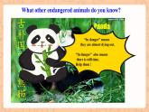 【公开课】人教新目标版八下Unit 7《What's the highest mountain in the world？》SectionB 3a-Selfcheck写作优质课件+视频