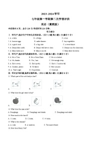 河北省沧州市肃宁县2023-2024学年上学期七年级期中考试英语试题(无答案)