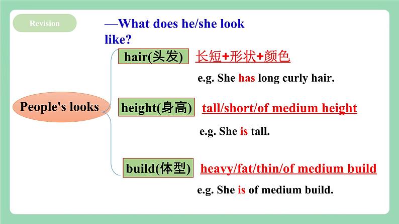 【公开课】人教新目标版英语七下Unit9 《What does he look like？》SectionA 2d&Grammar focus-3d 课件+素材包04